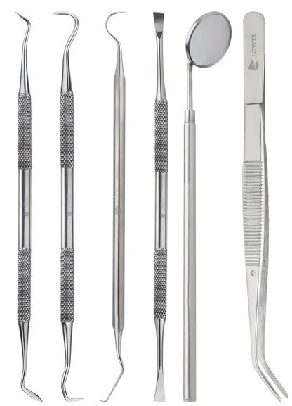 Dental Kit Tools 6 PC Dental Hygiene Kit Stainless Steel Tooth Scraper Plaque Remover Teeth Cleaning Tools Dental Hygiene Kit with Dental Picks Teeth Cleaning Kit