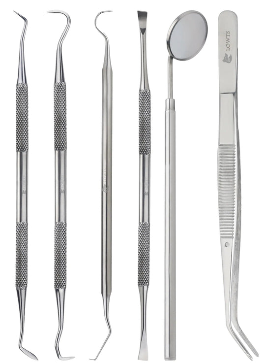 Dental Kit Tools 6 PC Dental Hygiene Kit Stainless Steel Tooth Scraper Plaque Remover Teeth Cleaning Tools Dental Hygiene Kit with Dental Picks Teeth Cleaning Kit